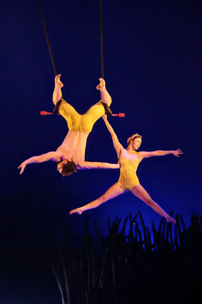 Fixed Trapeze Duo Cirque Du Soleil