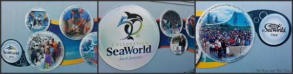 Seaworld 50 years
