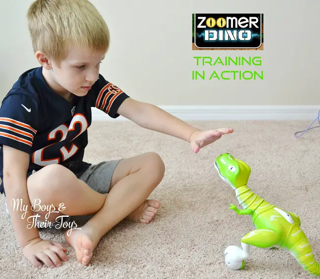 how to train Zoomer Dino