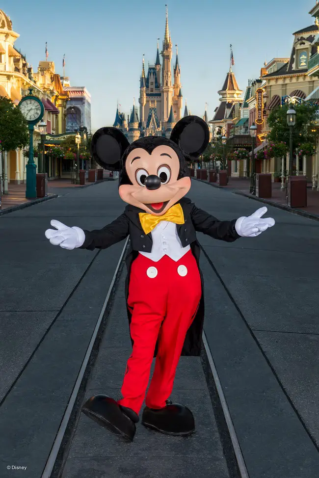 Mickey Mouse Cinderella Castle