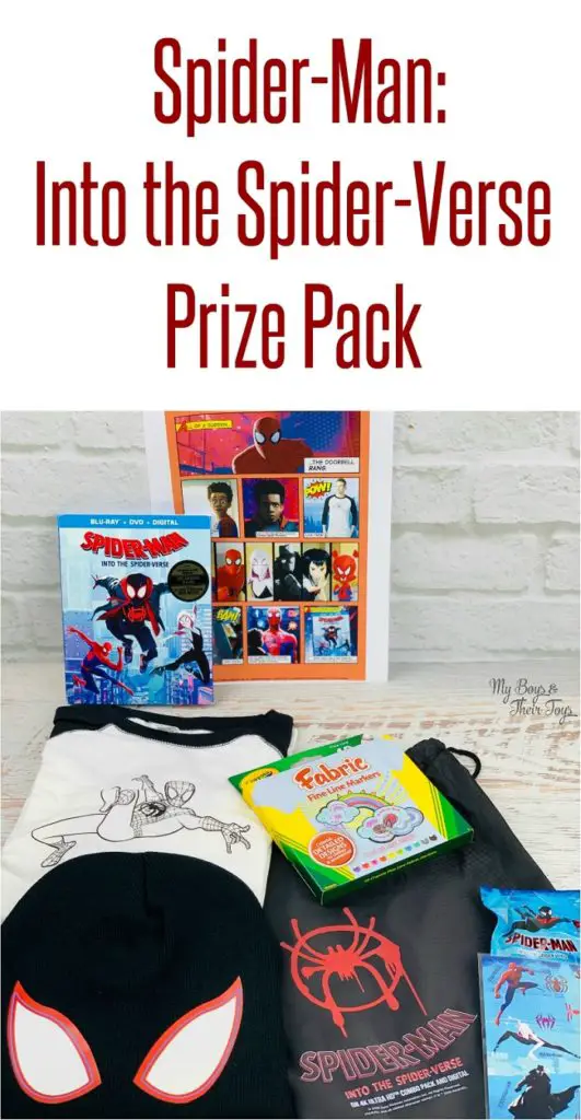 Spider-Man_ Into the Spider-Verse movie prize